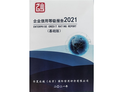 企業(yè)信用等級報(bào)告2021